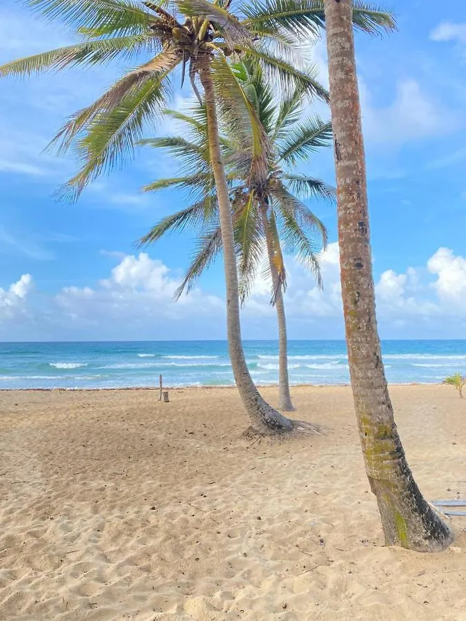 Uvero Tropical Beach Rental #4 Punta Cana Dominicaanse Republiek