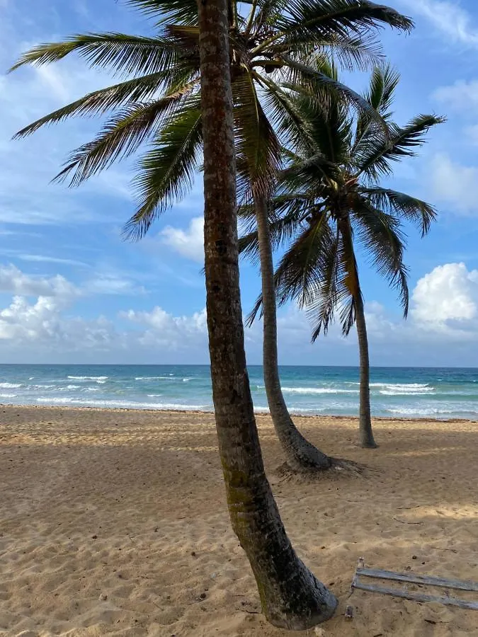 Uvero Tropical Beach Rental #4 Punta Cana Appartement